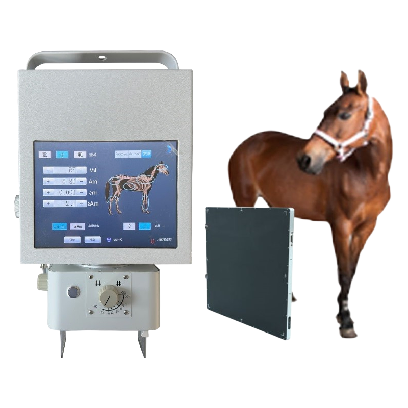 Portable Veterinary X-Ray Machine 5kW for Small Animals with DR System Compatibility