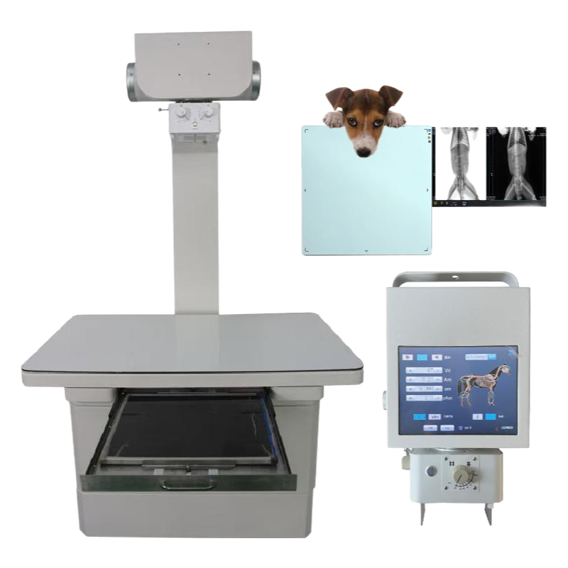 Veterinary Portable X-Ray Machine 40-110kV Digital Imaging System for Hospital Clinic Use