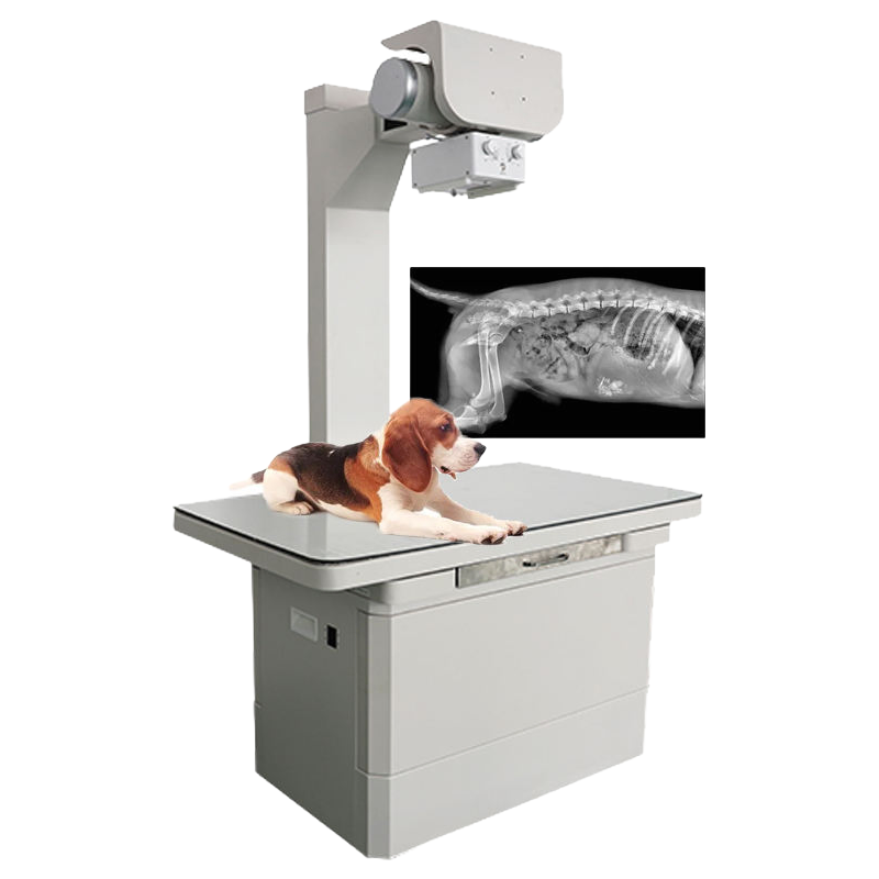 Veterinary Portable X-Ray Machine 40-110kV Digital Imaging System for Hospital Clinic Use