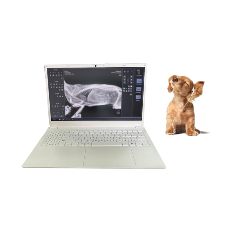 Veterinary Portable X-Ray Machine 40-110kV Digital Imaging System for Hospital Clinic Use