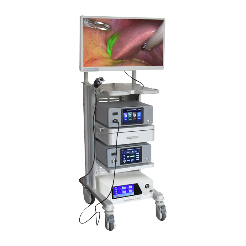 High-Definition 4K Endoscope Camera System with Fluorescence Technology for Medical Diagnostics