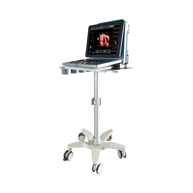 Professional Color Ultrasonic Diagnostic Apparatus with 15 Inch Adjustable Monitor and Multi-Language Support