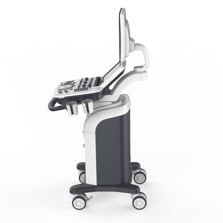 High Quality 3D 4D Ultrasound Scanner with 19" HD LCD Monitor for Clinical Diagnosis