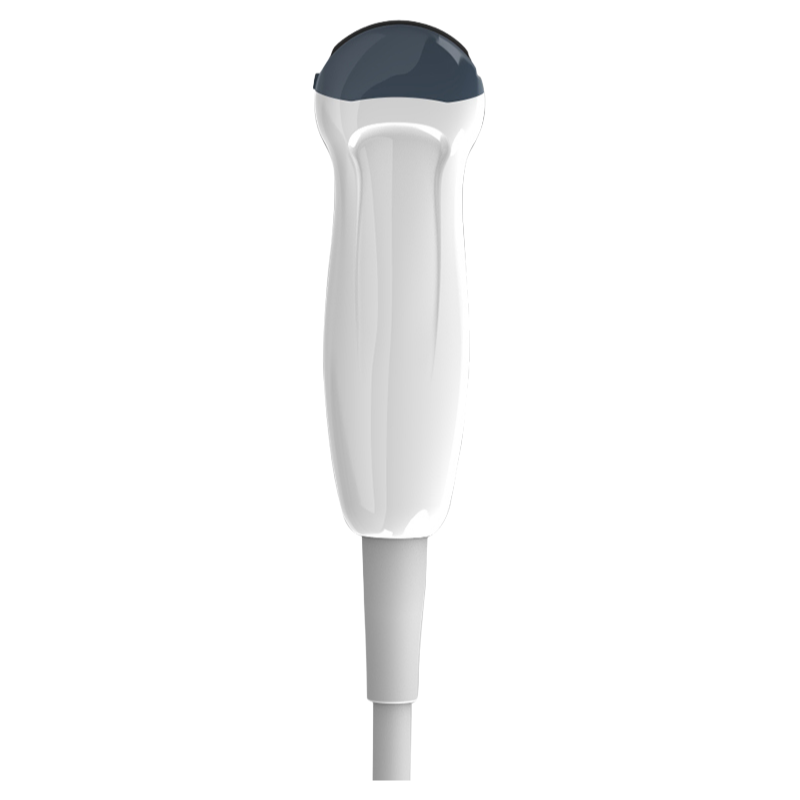 Wholesale CE Certified 6.0MHz Micro-Convex Ultrasound Probe D6C15L Model