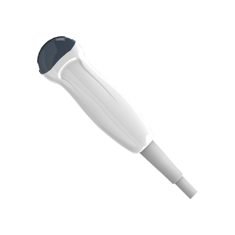 Wholesale CE Certified 6.0MHz Micro-Convex Ultrasound Probe D6C15L Model