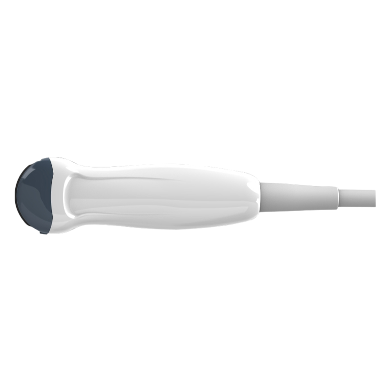 Wholesale CE Certified 6.0MHz Micro-Convex Ultrasound Probe D6C15L Model