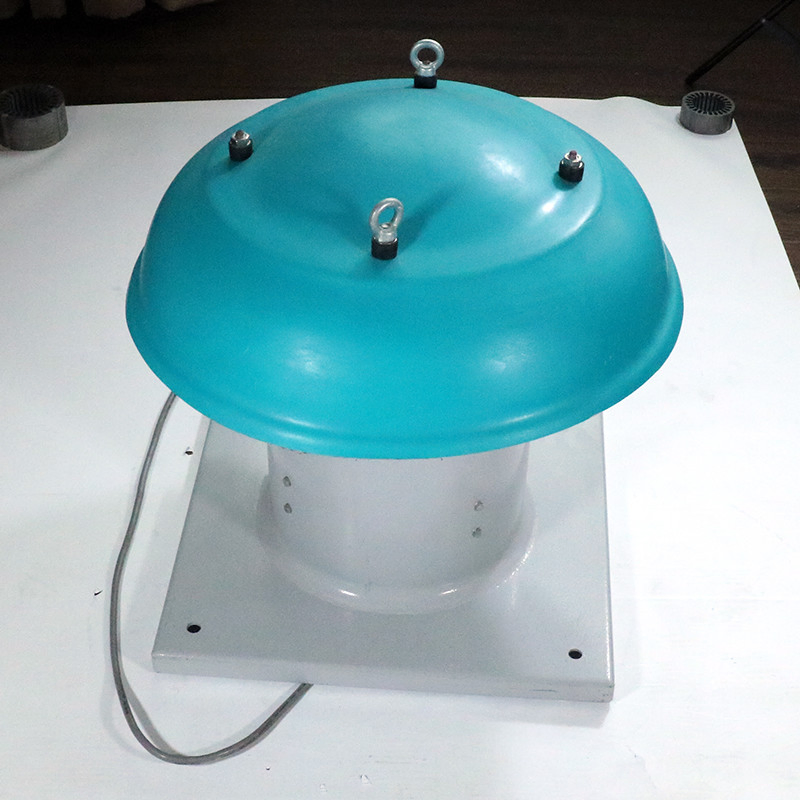 Industrial Grade BDW Explosion Proof Exhaust Fan for Zone 1 & Zone 2 Areas