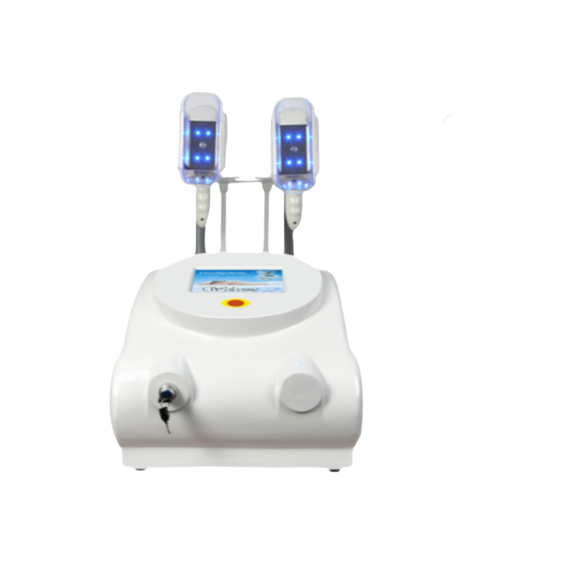 2 Handles Coolsculpting Cryolipolysis Fat Freezing Machine Factory Supply -10℃ 650mm Hg Vacuum Wholesale Custom for Salon