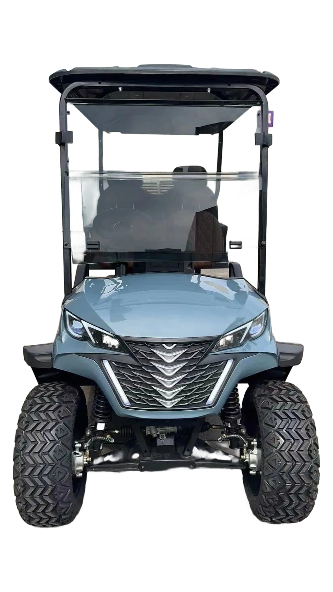 Wholesale Custom 670kg Golf Cart with 140AH Lead-Acid Battery for Tourist Destinations