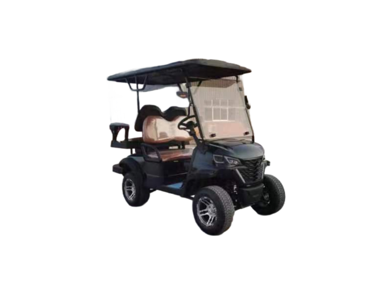 OEM 8 Seater Enclosed Tourist Vehicle with 20-30% Gradeability