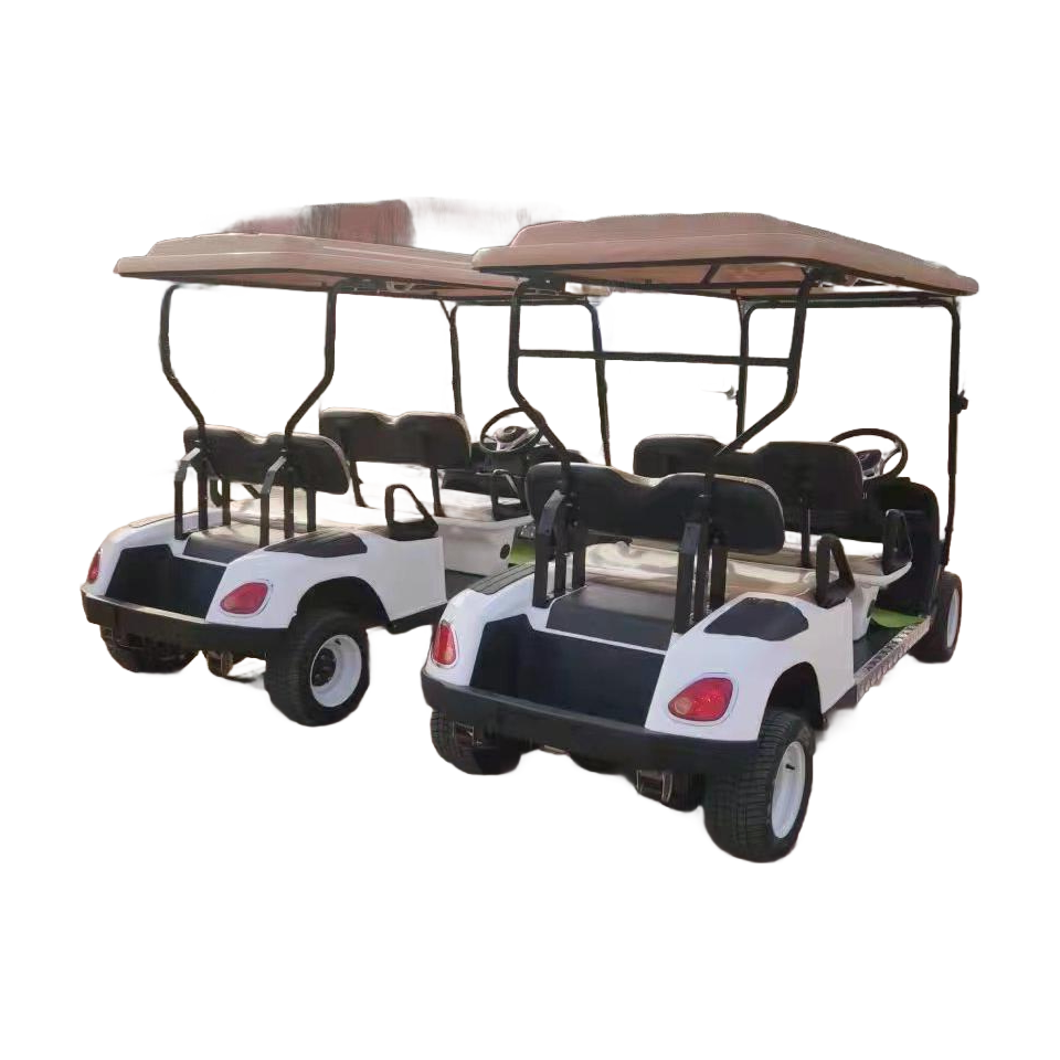 Wholesale 60V Eco-Friendly Sightseeing Car with 20% Gradeability for Parks