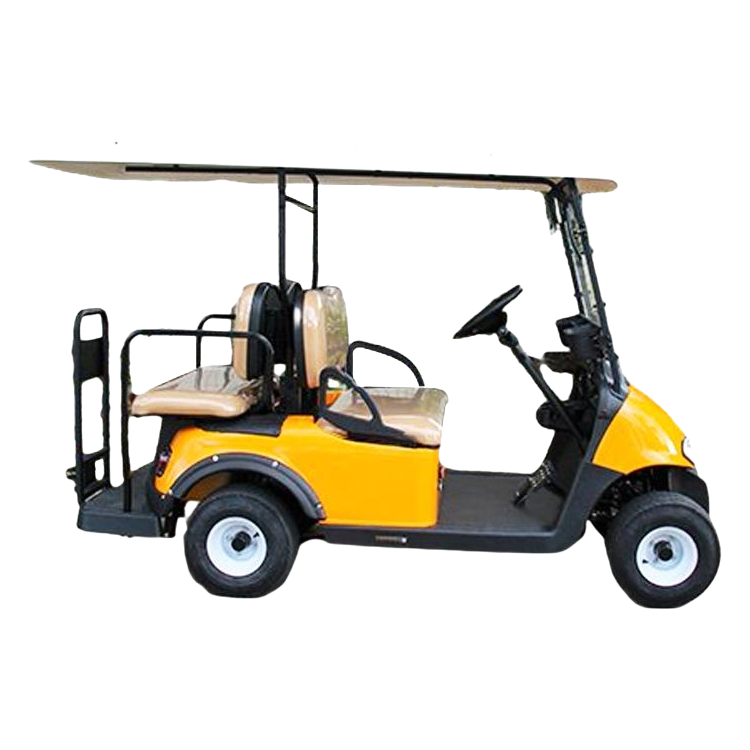Customizable 4-Seater Electric Sightseeing Car with 5000W Motor and LED Lighting System