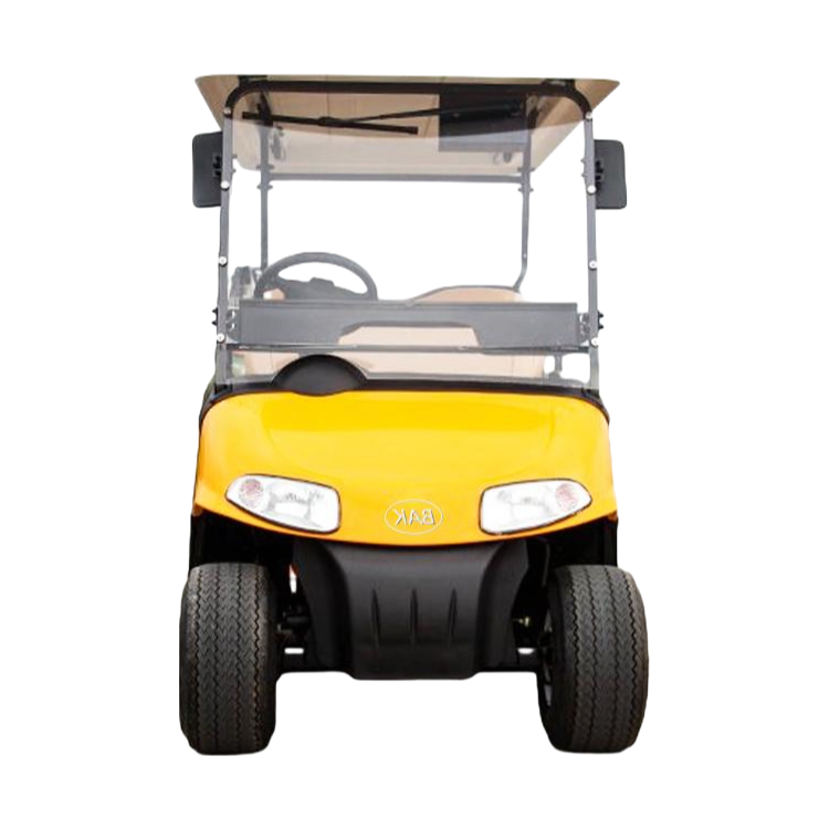 Customizable 4-Seater Electric Sightseeing Car with 5000W Motor and LED Lighting System