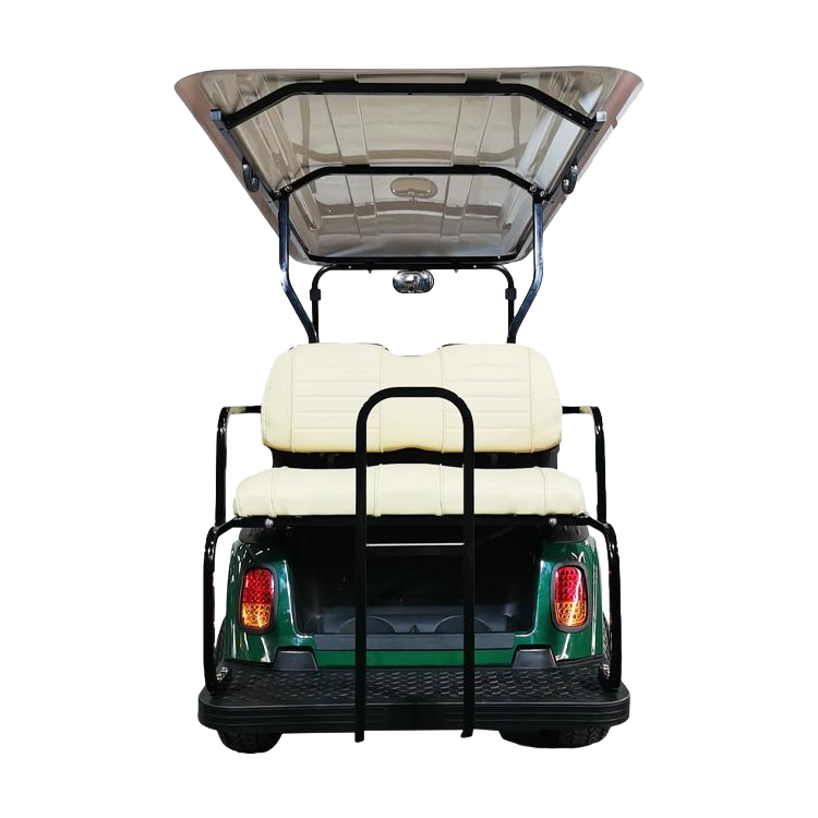 Customizable 4-Seater Electric Sightseeing Car with 5000W Motor and LED Lighting System