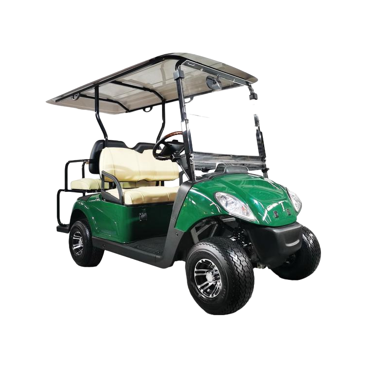 Customizable 4-Seater Electric Sightseeing Car with 5000W Motor and LED Lighting System
