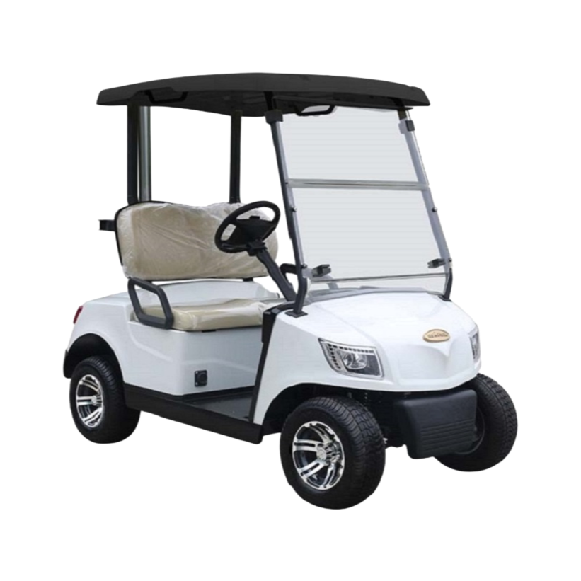 Customizable DG-M2 Electric Golf Cart with 80KM Range and 25% Climbing Capacity