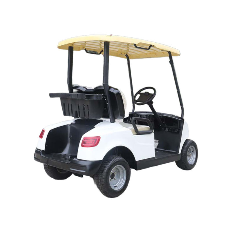 Customizable DG-M2 Electric Golf Cart with 80KM Range and 25% Climbing Capacity