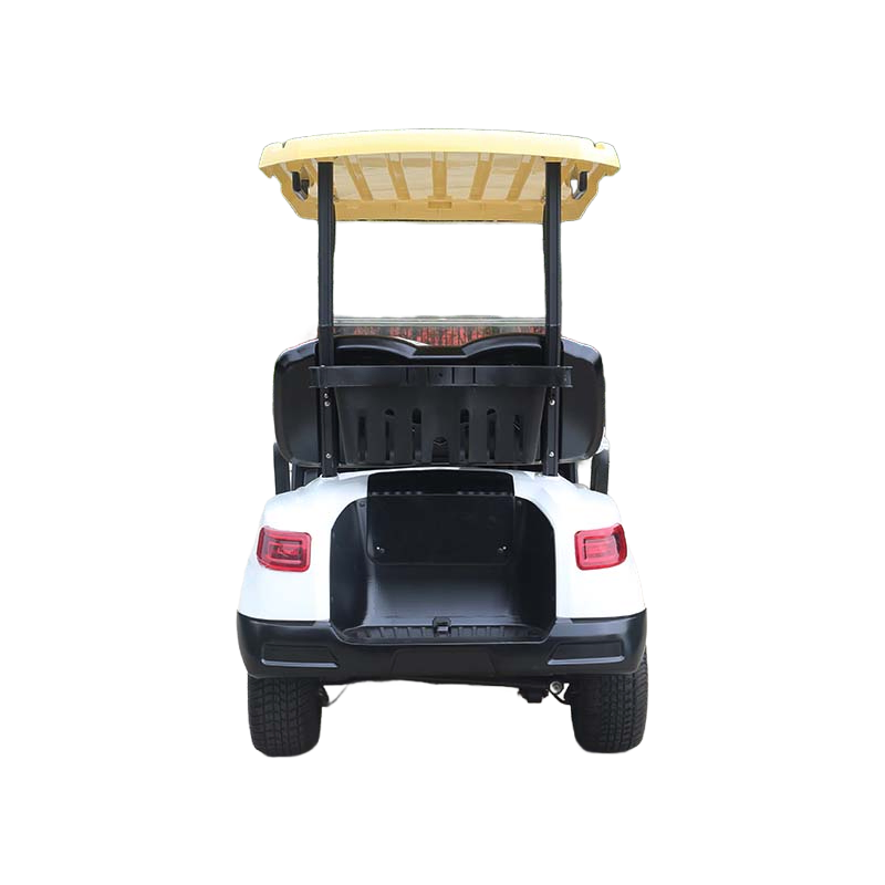 Customizable DG-M2 Electric Golf Cart with 80KM Range and 25% Climbing Capacity