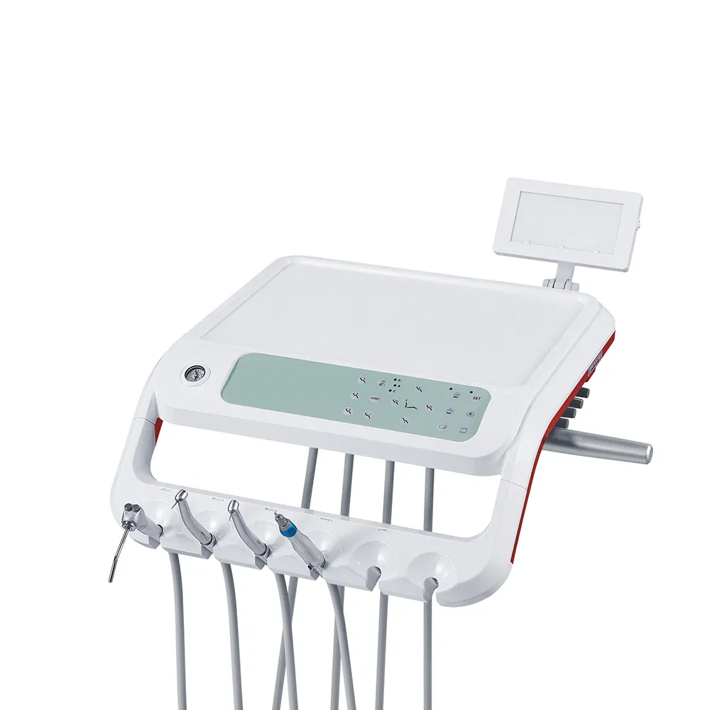 Customizable Dental Chair Equipment with Taiwan Motor and Assistant Control Panel
