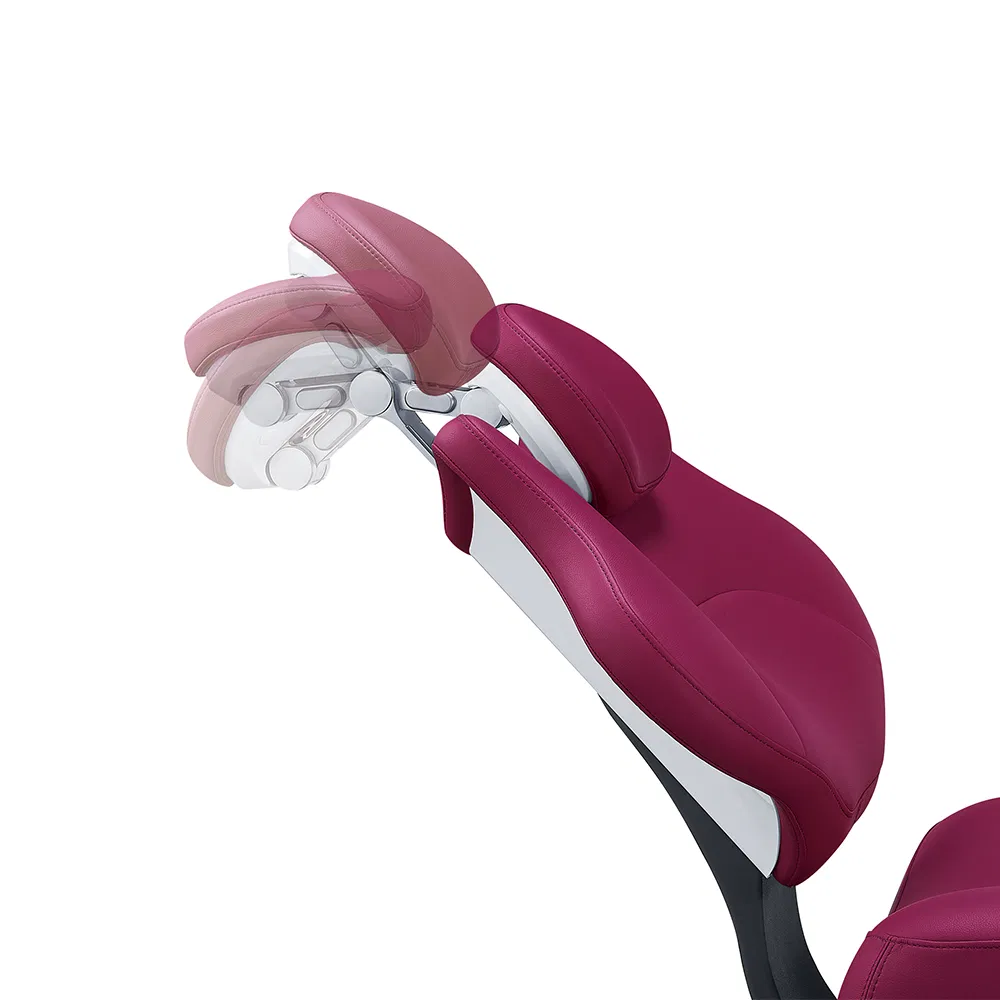 Customizable Dental Chair Equipment with Taiwan Motor and Assistant Control Panel