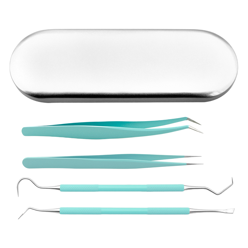 Professional Dental Hygiene Kit with Stainless Steel Tools for Dentists and Personal Use