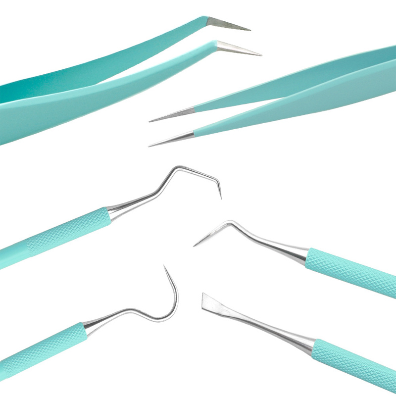 Professional Dental Hygiene Kit with Stainless Steel Tools for Dentists and Personal Use