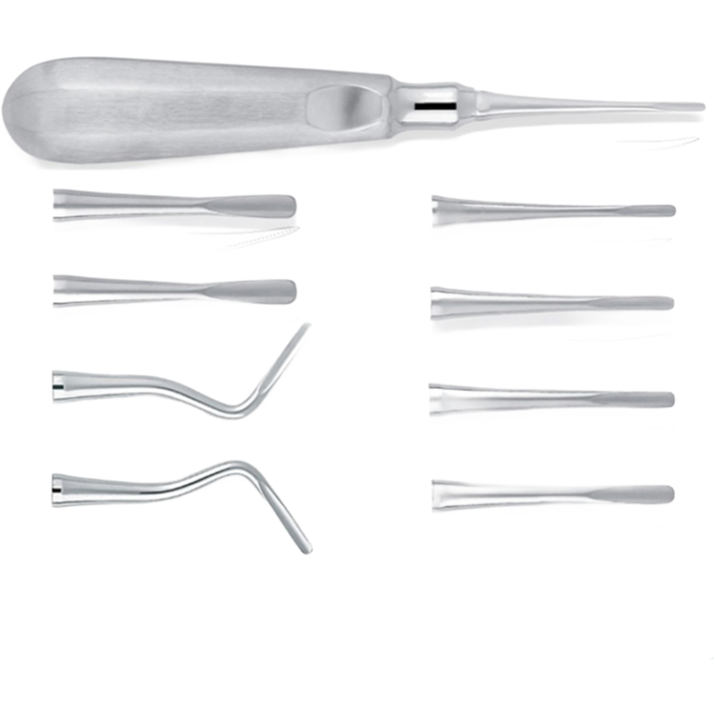 Professional Dental Root Elevators Supplier - Customizable Oral Surgery Instruments