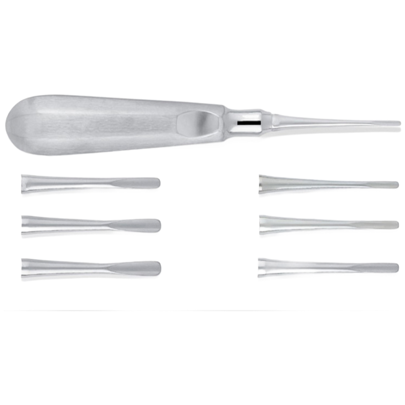 Professional Dental Root Elevators Supplier - Customizable Oral Surgery Instruments