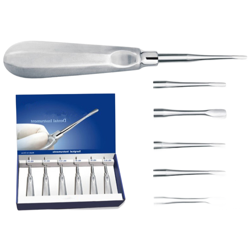 Professional Dental Root Elevators Supplier - Customizable Oral Surgery Instruments