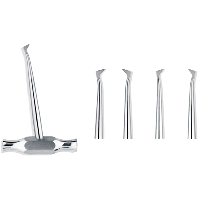 Professional Dental Root Elevators Supplier - Customizable Oral Surgery Instruments