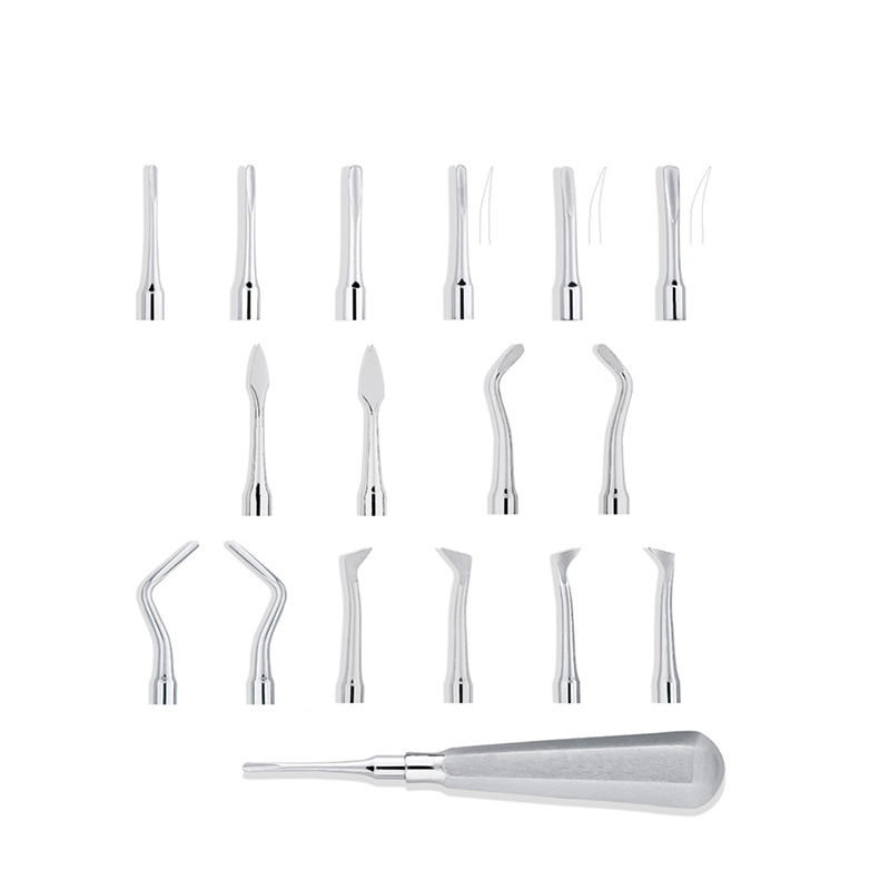 Professional Dental Root Elevators Supplier - Customizable Oral Surgery Instruments