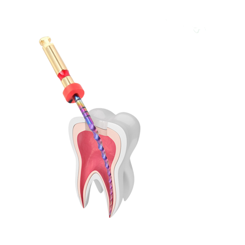 Professional Dental MR3 Rotary Files Set - 6 Pcs/Box with CE Certification