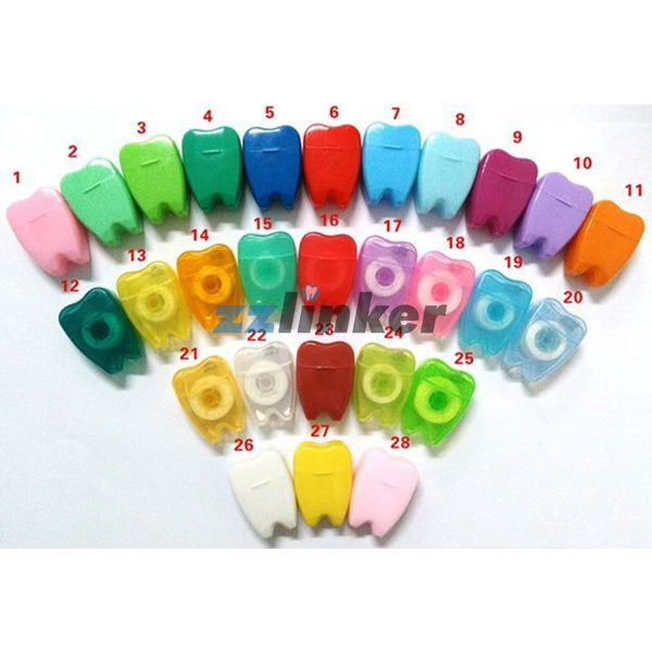 LK-S21 15m Mint Flavor Dental Floss Key Chain - CE/ISO/FDA Certified Oral Care Product