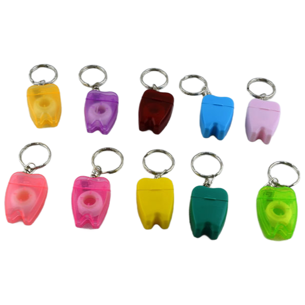 LK-S21 15m Mint Flavor Dental Floss Key Chain - CE/ISO/FDA Certified Oral Care Product