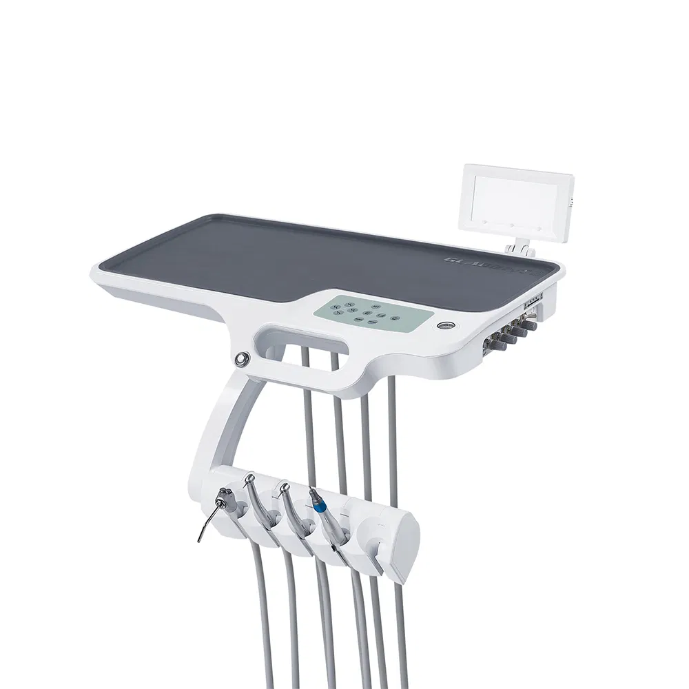 Wholesale Dental Chair GD-S300 with Built-in Floor Box & Programmable Positions for Hospitals