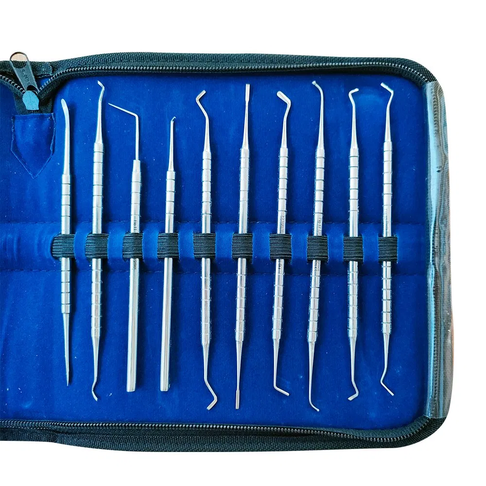 Dental Surgical Instrument Sets with CE ISO Certification for Hospital Use