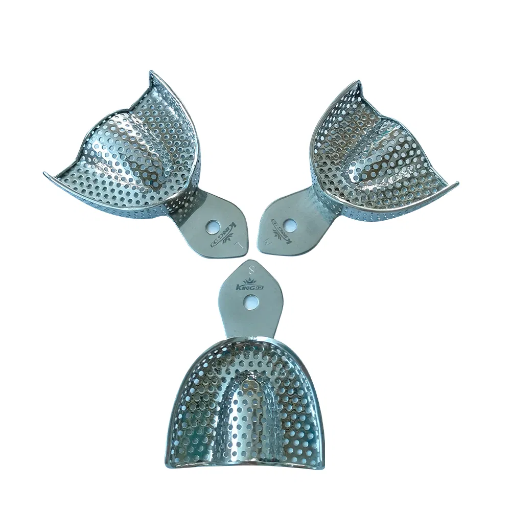 Premium Stainless Steel Dental Impression Trays for Oral Surgery - ISO/CE Certified