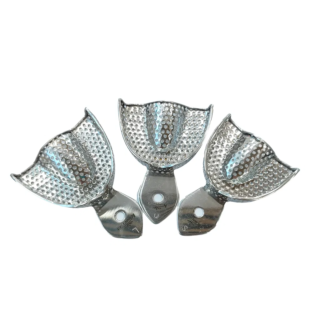 Premium Stainless Steel Dental Impression Trays for Oral Surgery - ISO/CE Certified