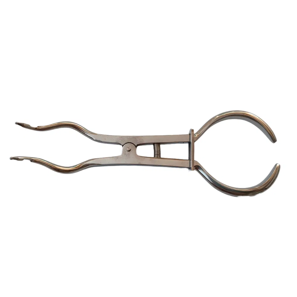 Premium Stainless Steel Dental Rubber Dam Clamp Set - Surgical Grade Instruments Kit for Dental Procedures