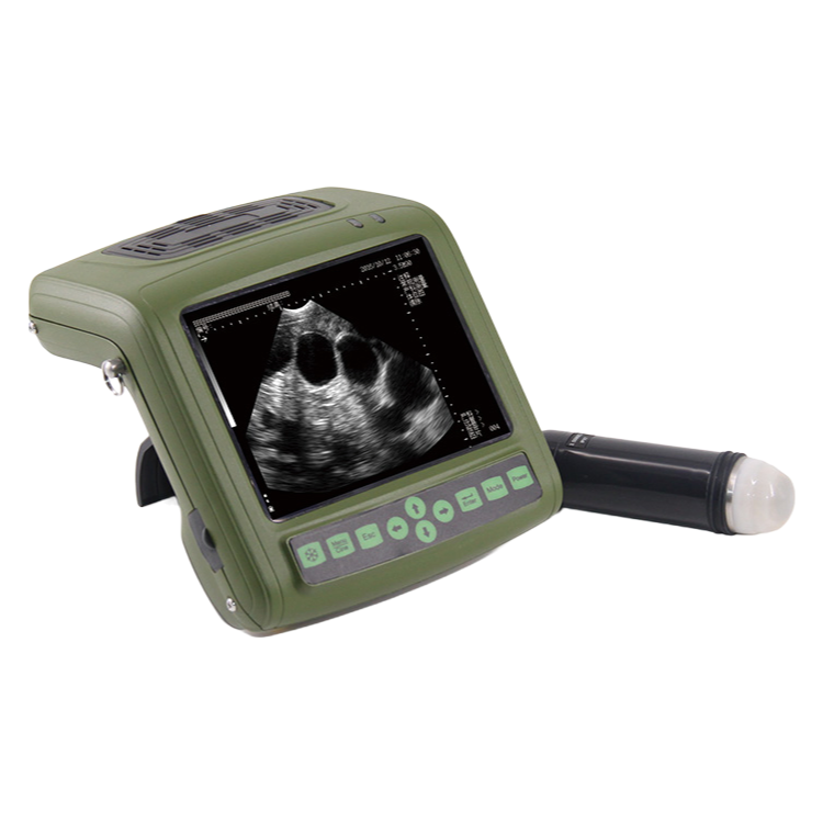 MSU-3 Veterinary Ultrasound Scanner - Digital Mechanical Sector Diagnostic Equipment for Animal Pregnancy Testing