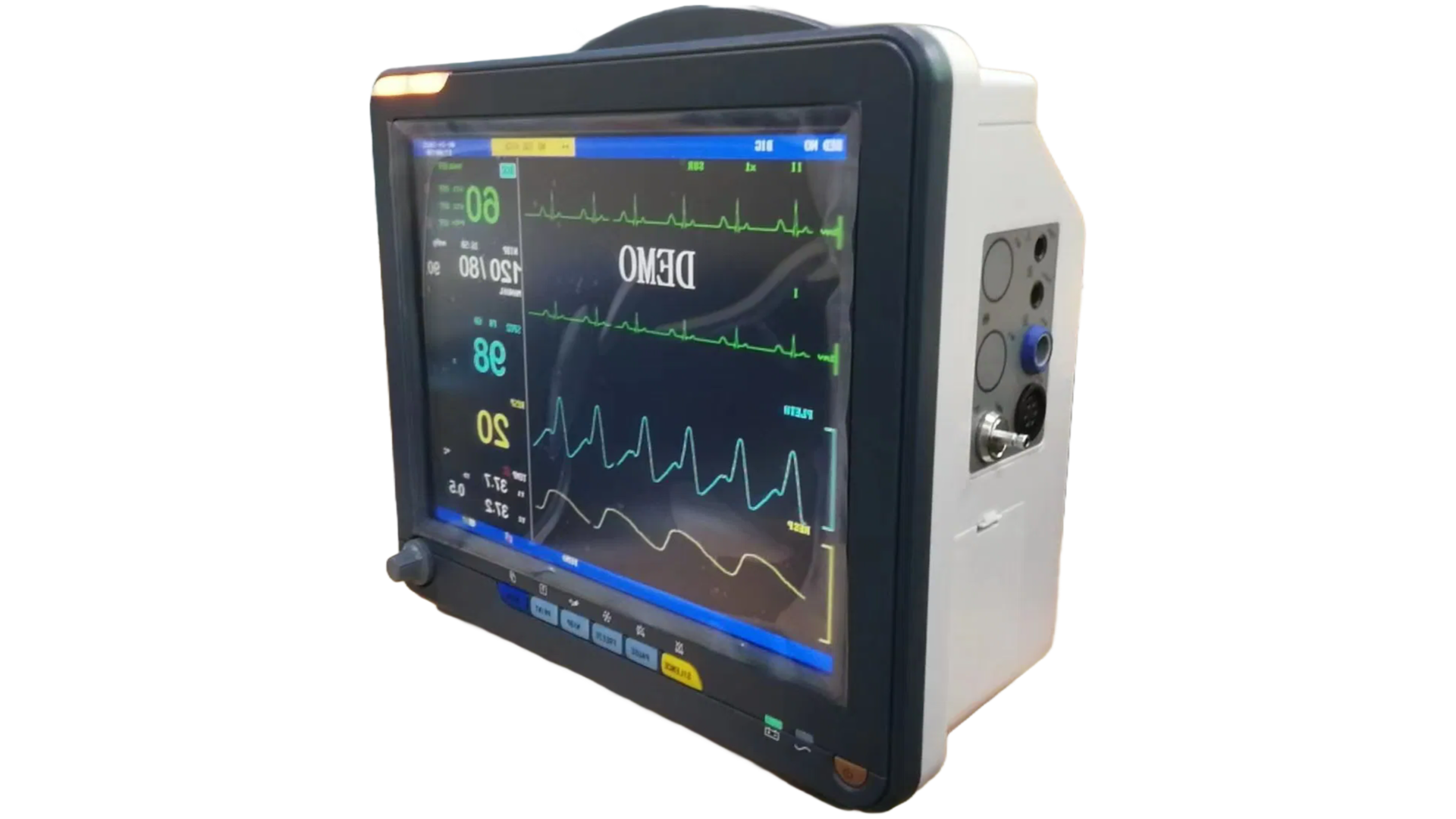 High-Precision Vet Monitor with ECG NIBP SpO2 Temperature for Dog Cat Hospital Use