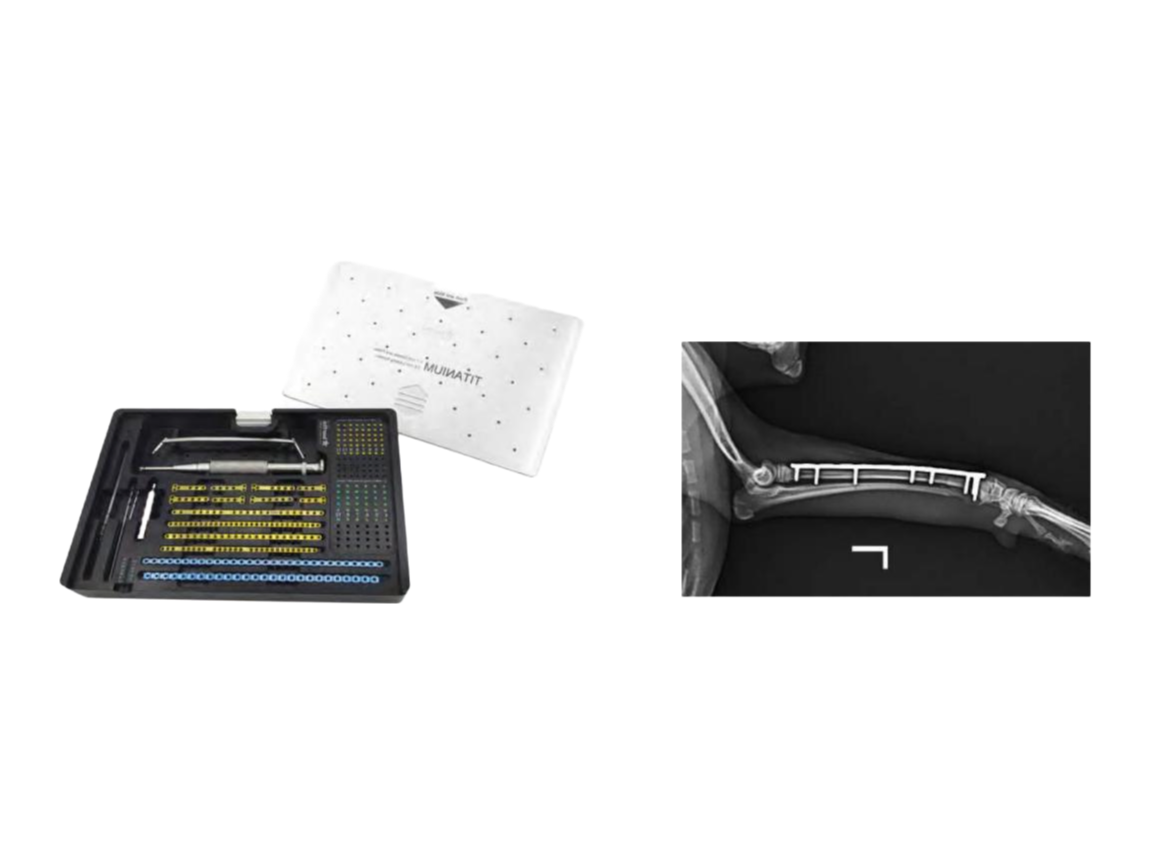 Professional Vet Surgical Titanium Locking System for Small Animal Orthopedic Procedures