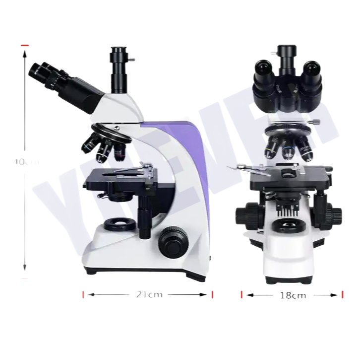 High-Quality YD-PH80 Microscope with CE ISO FDA Certification for Laboratory Applications