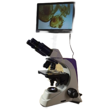 High-Quality YD-PH80 Microscope with CE ISO FDA Certification for Laboratory Applications