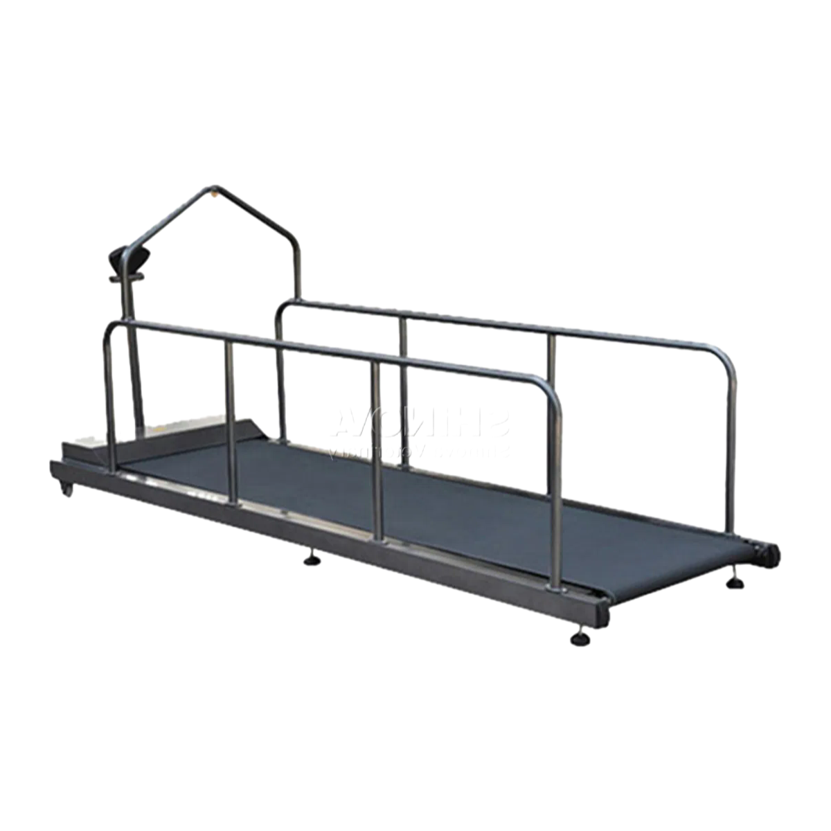 Bulk Supply of Veterinary Treadmills for Animal Care with Compact Dimensions and Durable Build