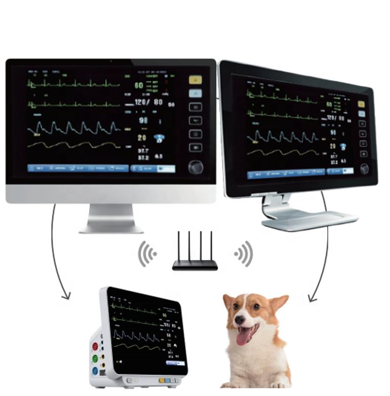 Wholesale Veterinary Equipment - Multi-Function Animal Monitor with Touch Screen Option and Export Packing
