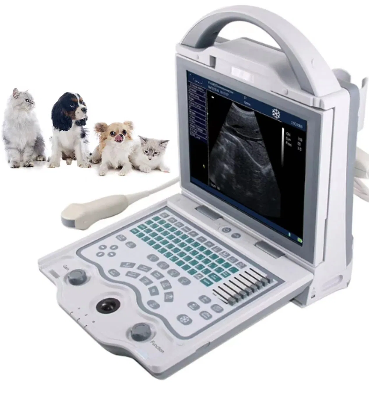 Full Digital Veterinary Ultrasound Scanner with 256 Gray Scale and 8 Steps TGC for Professional Animal Care