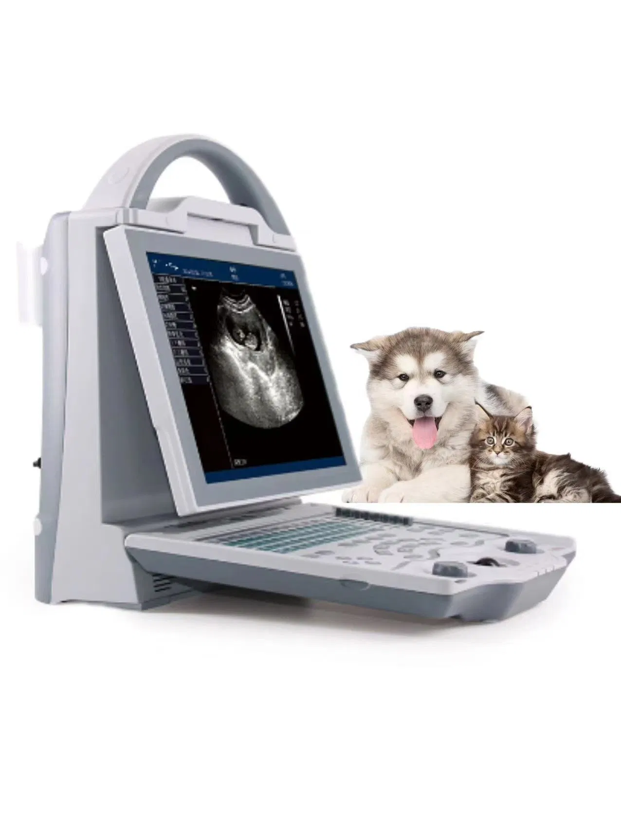 Full Digital Veterinary Ultrasound Scanner with 256 Gray Scale and 8 Steps TGC for Professional Animal Care