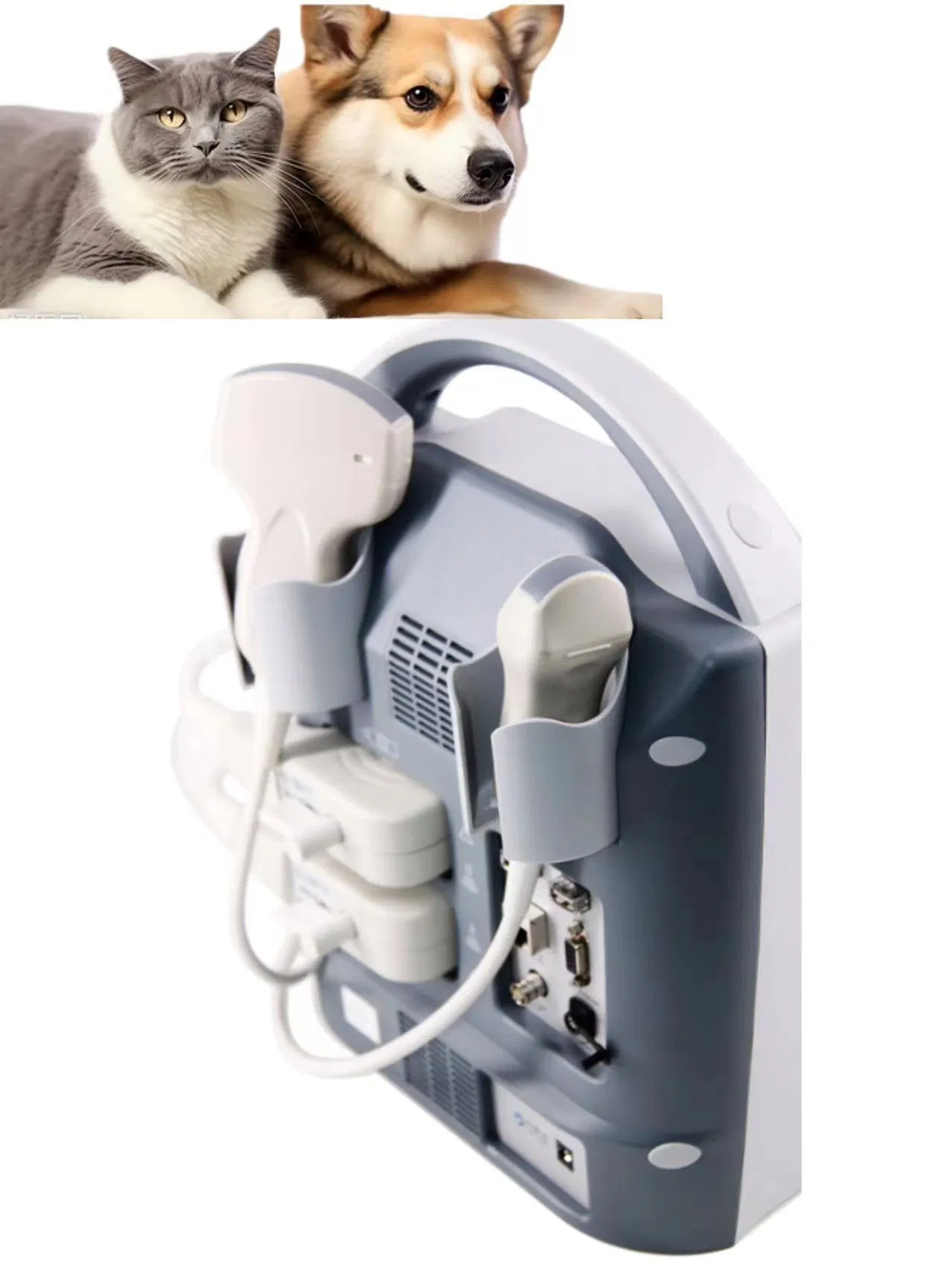 Full Digital Veterinary Ultrasound Scanner with 256 Gray Scale and 8 Steps TGC for Professional Animal Care