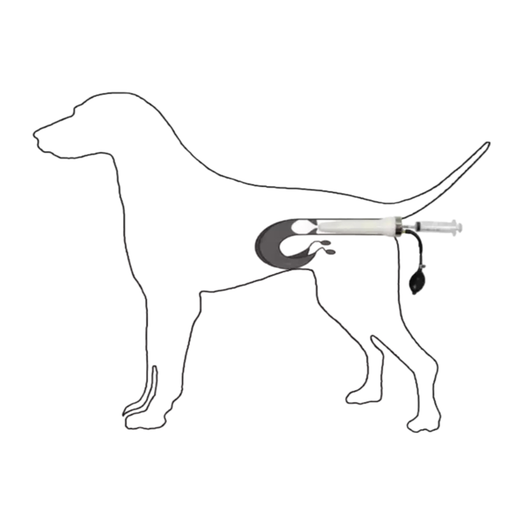 Wholesale Canine Artificial Insemination Device - 1.2kg Lightweight Veterinary Equipment
